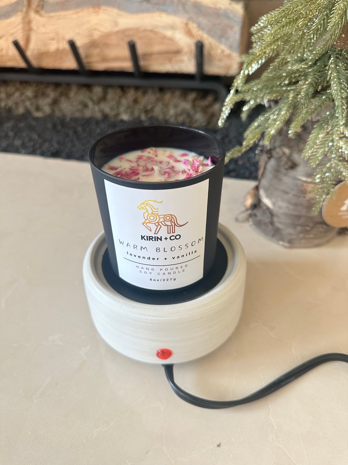 Wax Melter 2-1- Electric