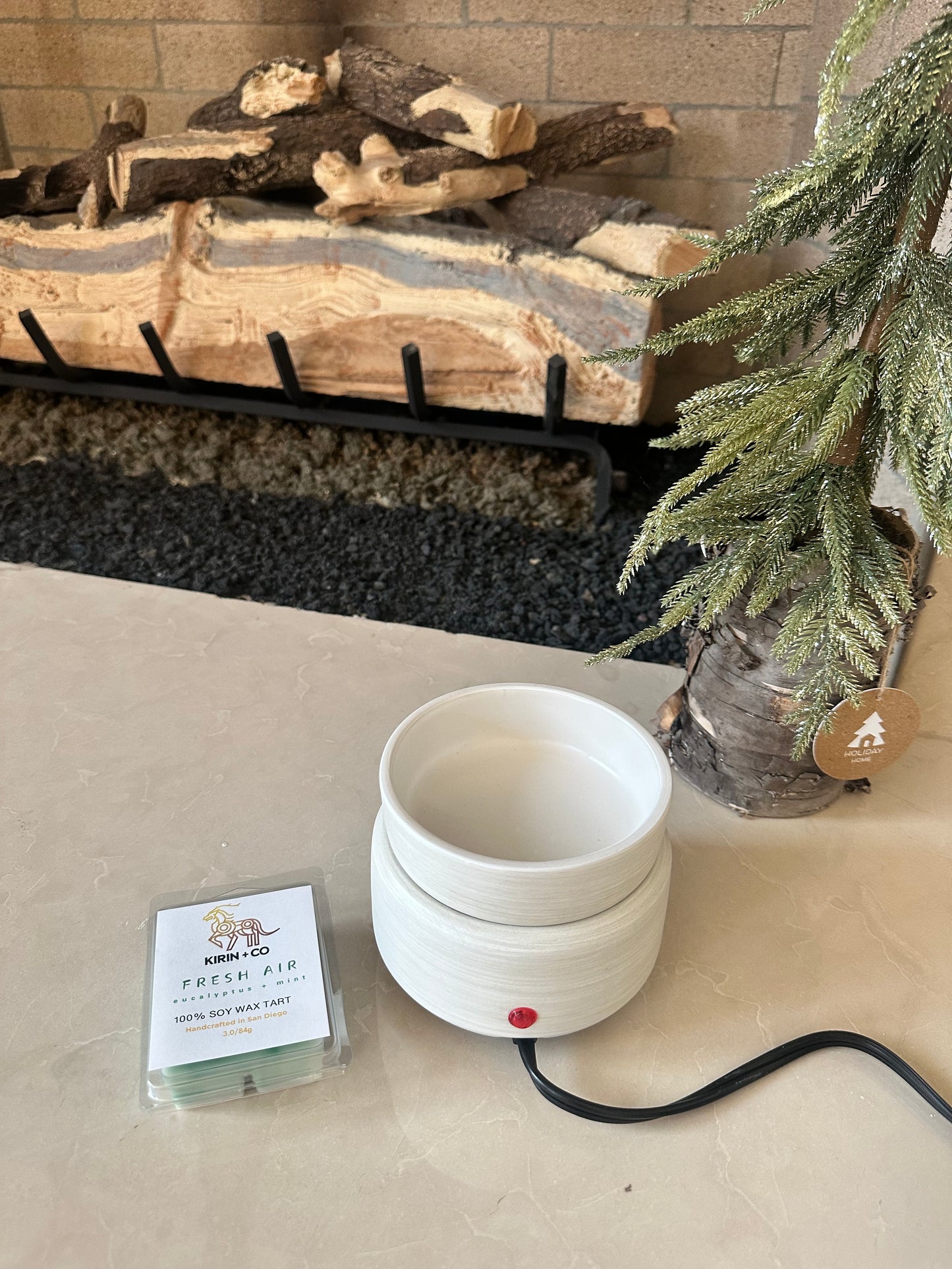 Wax Melter 2-1- Electric