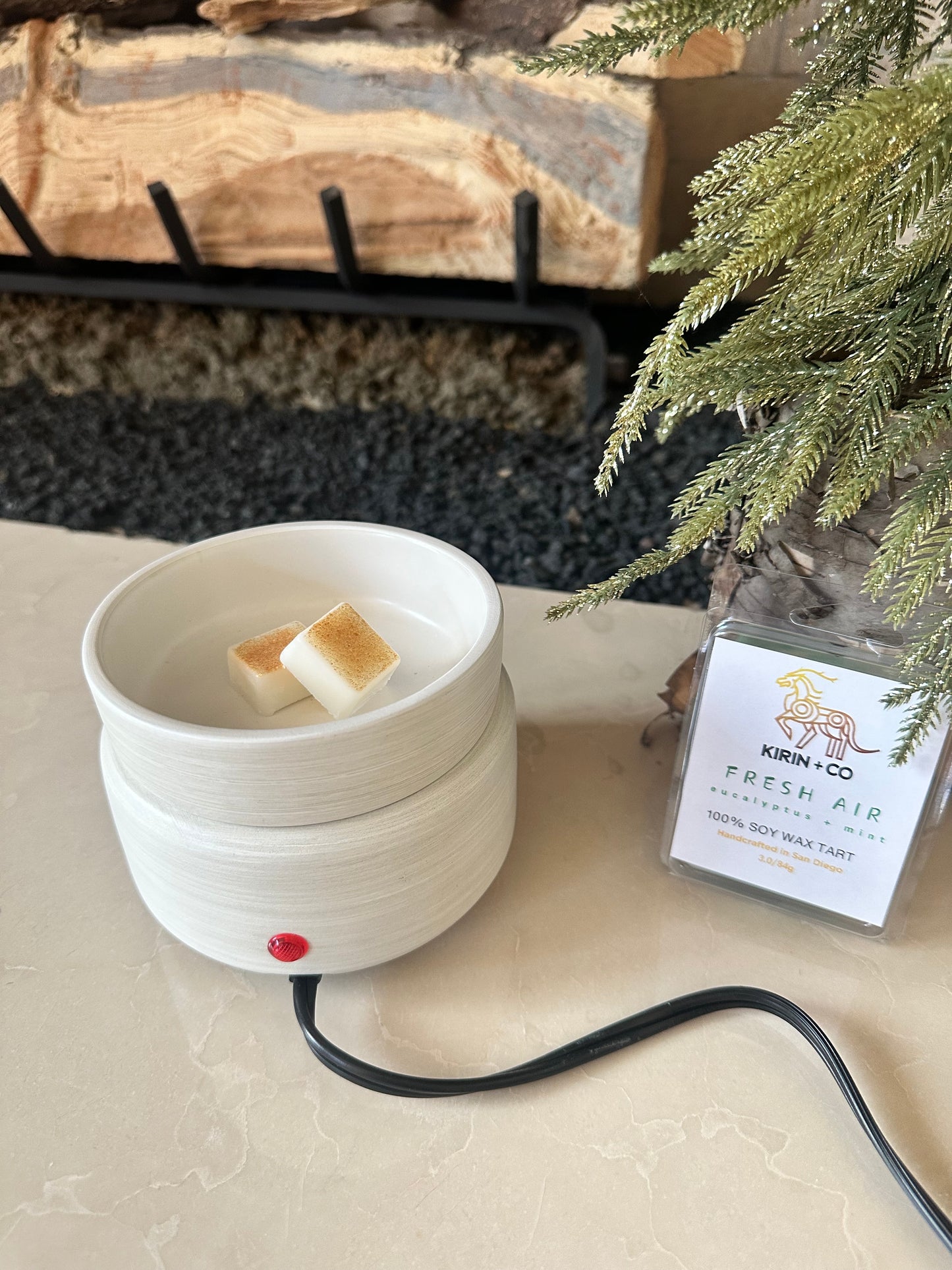 Wax Melter 2-1- Electric