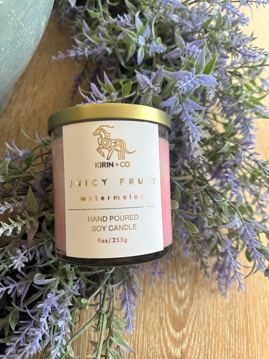 Juicy Fruit Soy Candle- Watermelon